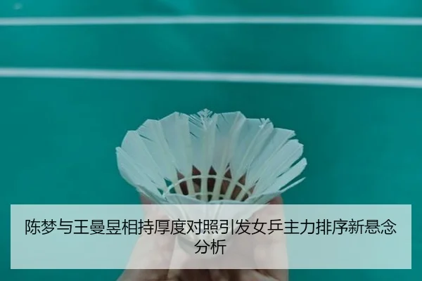 陈梦与王曼昱相持厚度对照引发女乒主力排序新悬念分析